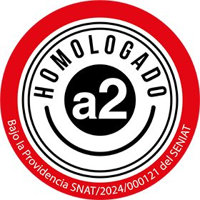 Homologado bajo la Providencia SNAT/2024/000121 del SENIAT
